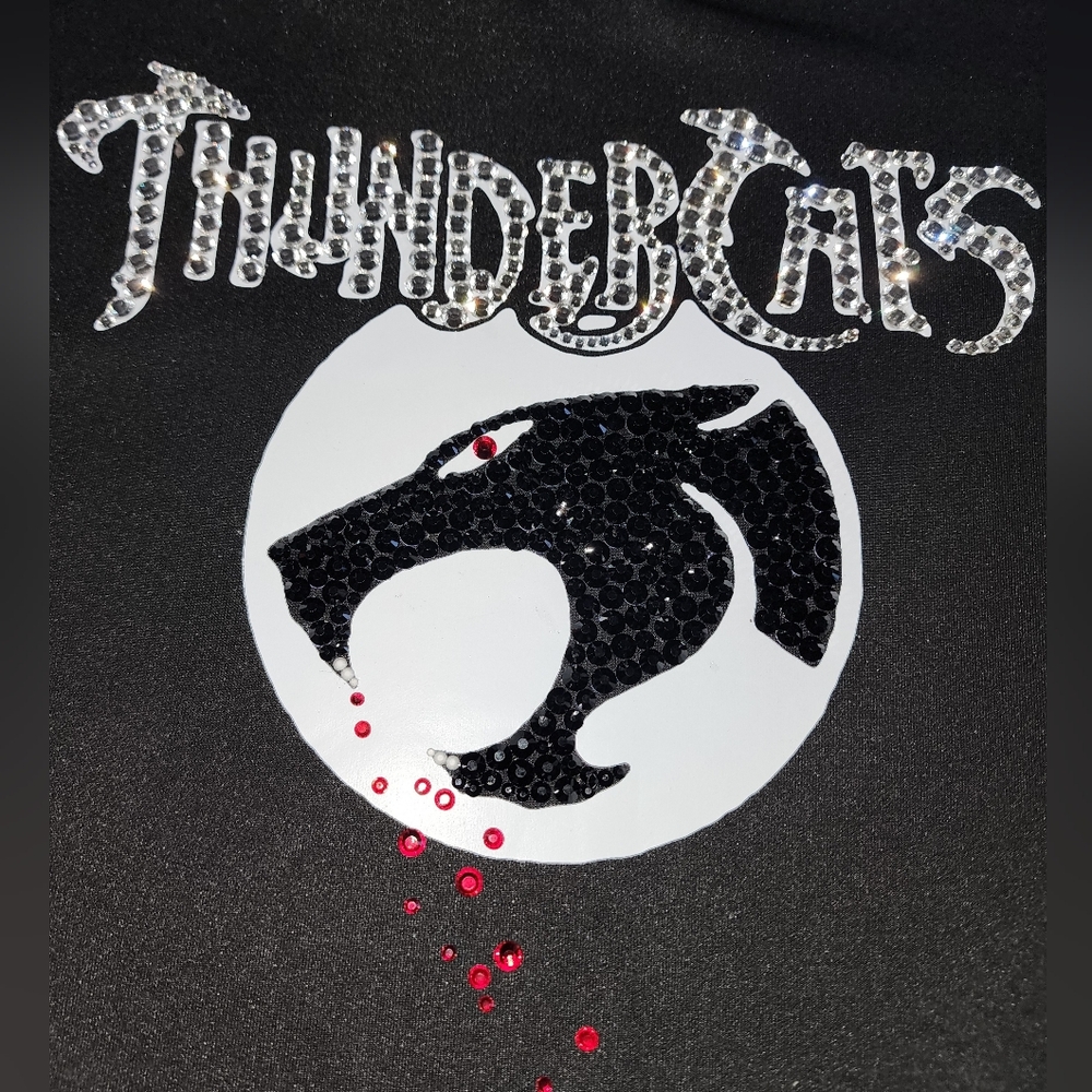 New custom Thunder Cats  jacket with rhinestone, black, XXL but fits XL FREE cap